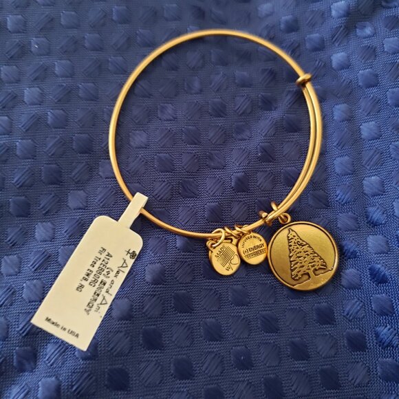 Alex and Ani Jewelry - RARE HTF Alex and Ani VINTAGE Fir Tree  Resilience Clarity Longevity Love   286